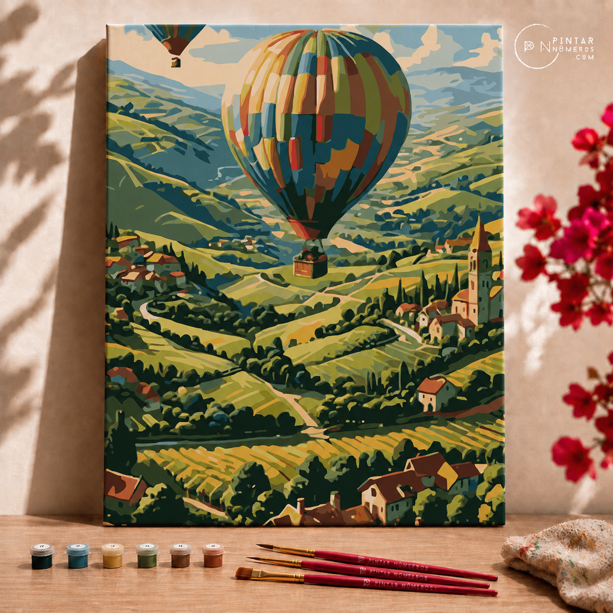 Globo sobre campo -  Pintar Números®