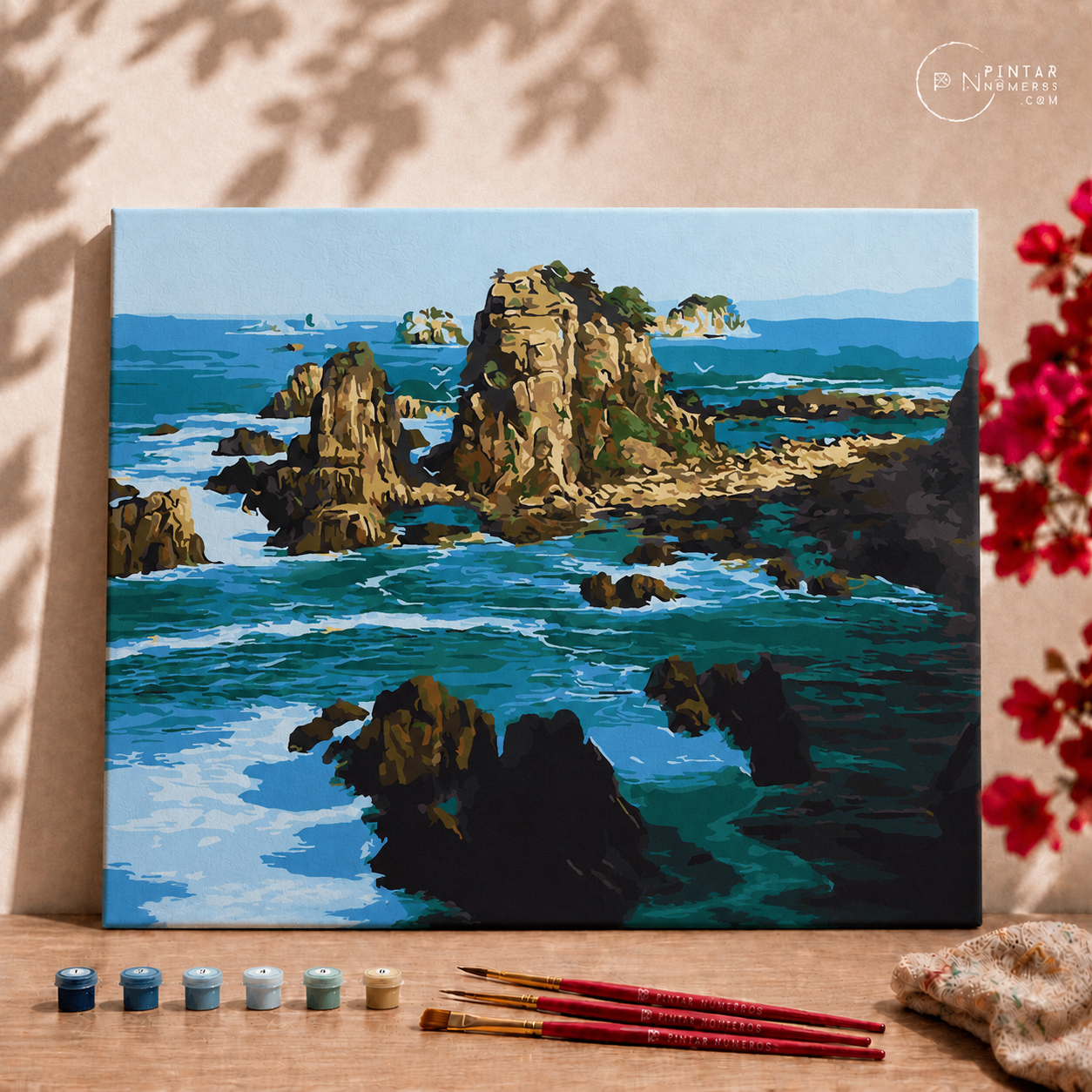 Costa rochosa  - Pintar Números®