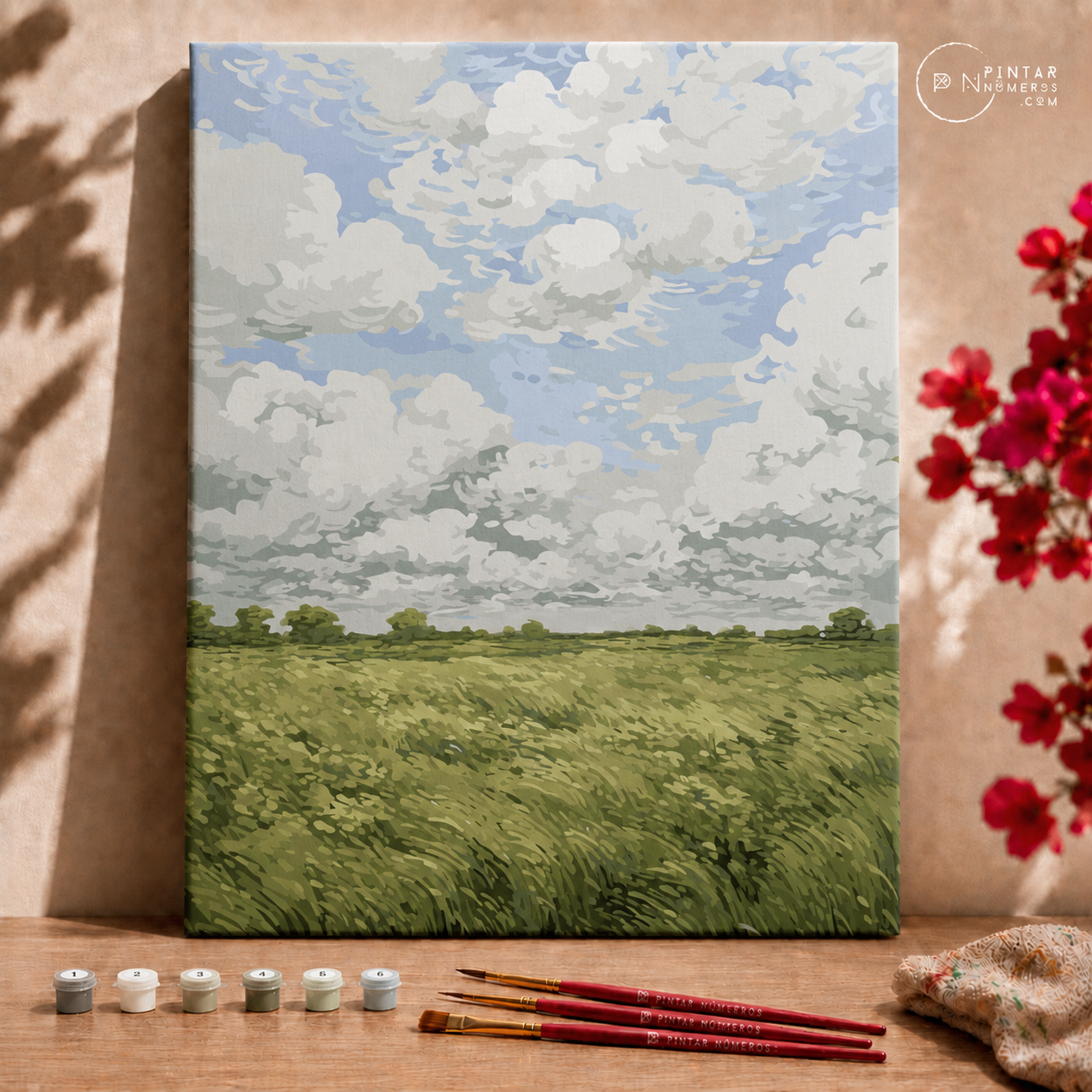 Campo con nubes - Pintar Números®