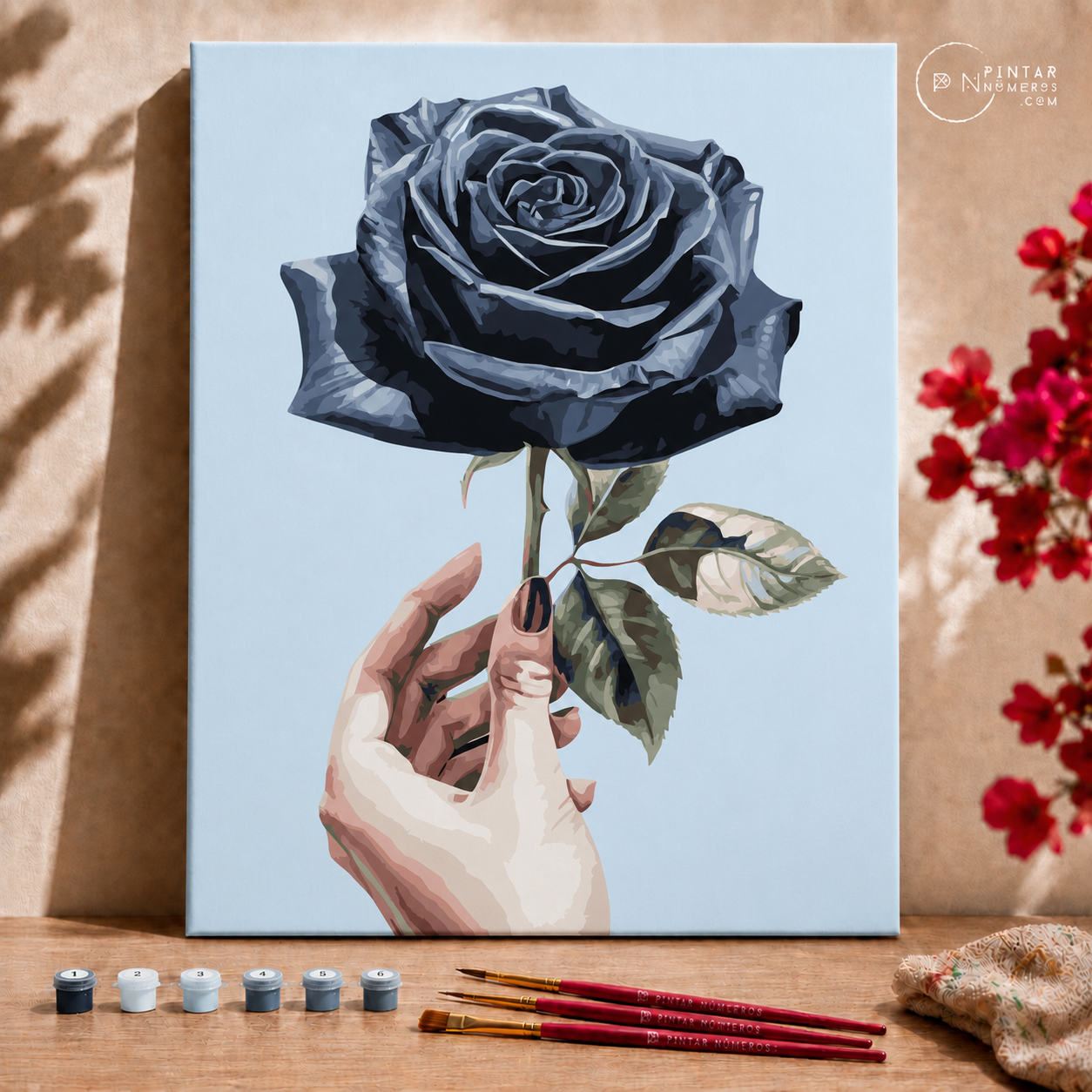 Black rose  - Pintar Números®