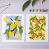 Frutas cítricas  - Folhas Pintar Números