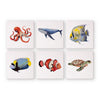 Pack 6 Mini Lienzos - Animales Marinos